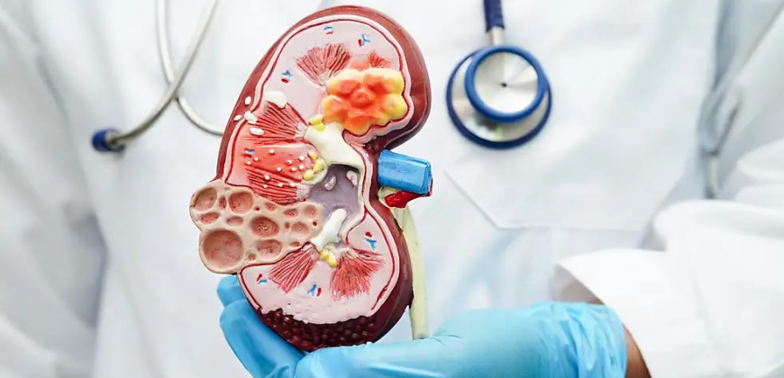 Urology and Urosurgery Care